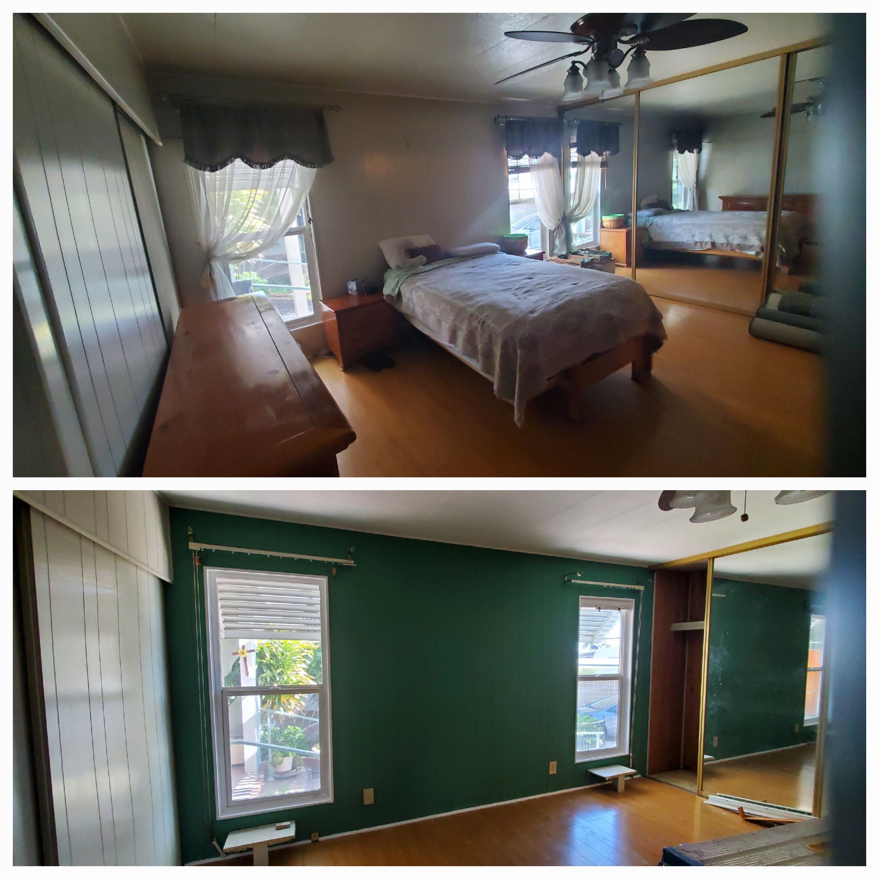 Green accent wall feature